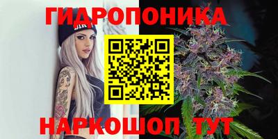 молекула духа Шебекино